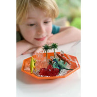 4m-crystal-growing-dino-crystal-terrarium-4m-3926us
