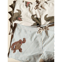 aster-swim-pants-stripe-bluie-kong-s24ks100089-sb-3y