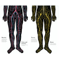 book-inside-the-body-an-extraordinary-layer-by-layer-guide-to-human-anatomy-book-9780500653074