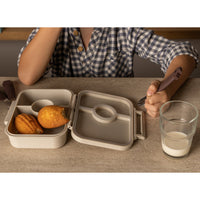 citron-absolut-tritan-snackbox-vehicles-citr-86593