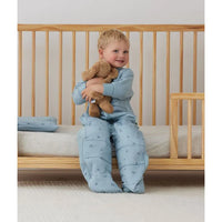 ergoPouch Organic Toddler Pillow with Case - 0.3 TOG - Dragonflies