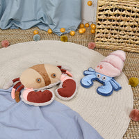 histoire-d-ours-crab-hdo-ho3262