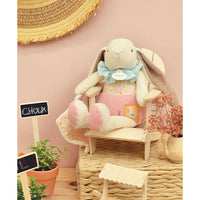 histoire-d-ours-lapin-ciboulette-pantin-avec-doudou-hdo-dc4208