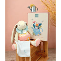 histoire-d-ours-lapin-ciboulette-pantin-avec-doudou-hdo-dc4208
