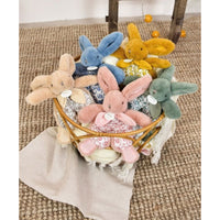 histoire-dours-lapin-doudou-doudou-pm-white-hdo-dc4190