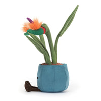 jellycat-amuseable-bird-of-paradise-jell-a2bop