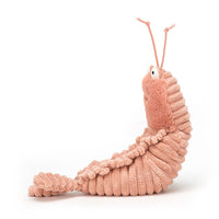 jellycat-sheldon-shrimp-jell-sh3s