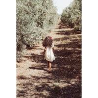 louise-misha-dress-shantiya-embroidered-cotton-voile-cream-mish-s25s0146-cream-12m