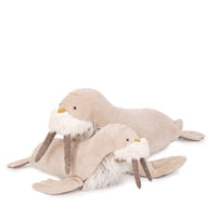 moulin-roty-tout-autour-du-monde-baby-walrus-moul-719032