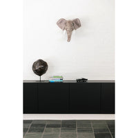 wild-&-soft-head-elephant-george-wild-ws0033