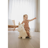 wild-soft-soft-bouncy-unicorn