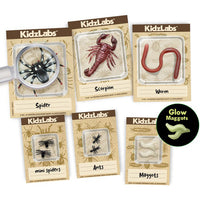 4m-kidz-labs-creepy-crawly-digging-kit-4m-3397- (2)