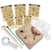 4m-kidz-labs-creepy-crawly-digging-kit-4m-3397- (3)