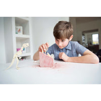 4m-kidz-labs-tyrannosaurus-rex-kit- (4)