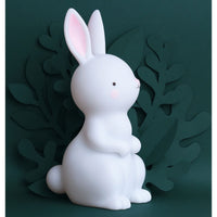a-little-lovely-company-night-light-bunny- (6)