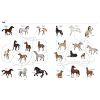 book-big-horses-little-horses-a-visual-guide-to-the-worlds-horses-and-ponies- (3)