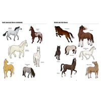 book-big-horses-little-horses-a-visual-guide-to-the-worlds-horses-and-ponies- (6)