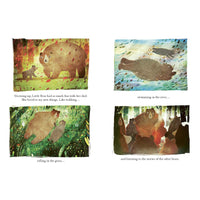 book-the-bear-the-piano-and-little-bear's-concert- (5)