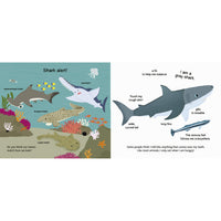 book-touch-&-explore-ocean- (3)