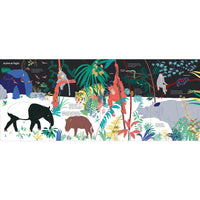 book-ultimate-spotlight-rain-forest-animals- (4)