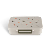 citron-incredible-tritan-lunchbox-with-saucer-dino-green-citr-96205- (1)