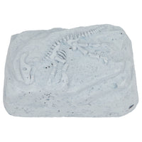 depesche-dino-world-excavation-kit-small- (4)