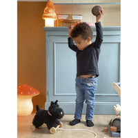 egmont-toys-pull-along-walter-egmo-591025- (2)