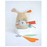 histoire-d-ours-asst-doudous-veilleuse-choco-menthe-x6- (12)