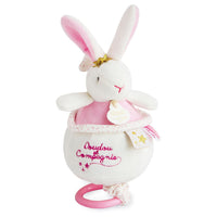 histoire-d-ours-flower-rabbit-music-box- (2)