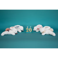 histoire-d-ours-happy-wild-pantin- (15)
