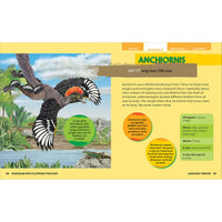 house-of-marbles-dinosaurs-encyclopedia-prehi-hom-403822- (10)