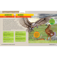 house-of-marbles-dinosaurs-encyclopedia-prehi-hom-403822- (4)