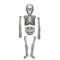 house-of-marbles-human-skeleton-make-&-decorate-kit-hom-212911- (1)