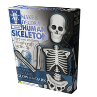 house-of-marbles-human-skeleton-make-&-decorate-kit-hom-212911- (2)