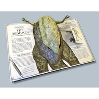 house-of-marbles-t-rex-popup-guide-to-anatomy-hom-403184- (3)