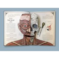 The Human Body Popup Guide To Anatomy