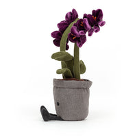 jellycat-amuseable-purple-orchid-jell-a2or- (2)