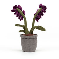 jellycat-amuseable-purple-orchid-jell-a2or- (3)