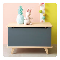 Laurette Coffre à jouets Toy Box Drawer - Grey