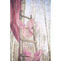 numero-74-fairy-wings-rose- (5)