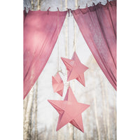 numero-74-star-lantern-baobab-rose- (2)