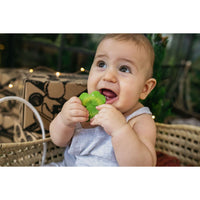 Oli & Carol Chewy-to-Go Eli The Clover Teether
