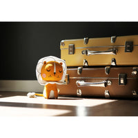 picca-loulou-lion-in-gift-box-18cm-picc-25215012- (6)
