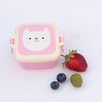 rex-cookie-the-cat-snack-pot- (3)