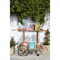 rice-dk-cocktail-cart-rose-gold- (2)