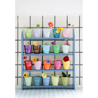 rice-dk-small-cup-in-green- (3)