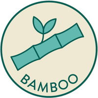 rjb-stone-bamboo-t-rex-plate- (3)