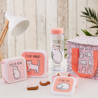 rjb-stone-cutie-cat-feline-good-clear-water-bottle- (2)