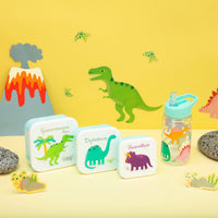 rjb-stone-set-of-3-roarsome-dinosaurs-lunch-box- (5)