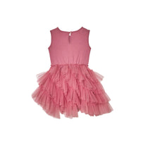 tutu-du-monde-berry-delight-tutu-dress-mulberry-tutu-w22tdm7470-mb-2-3y- (3)
